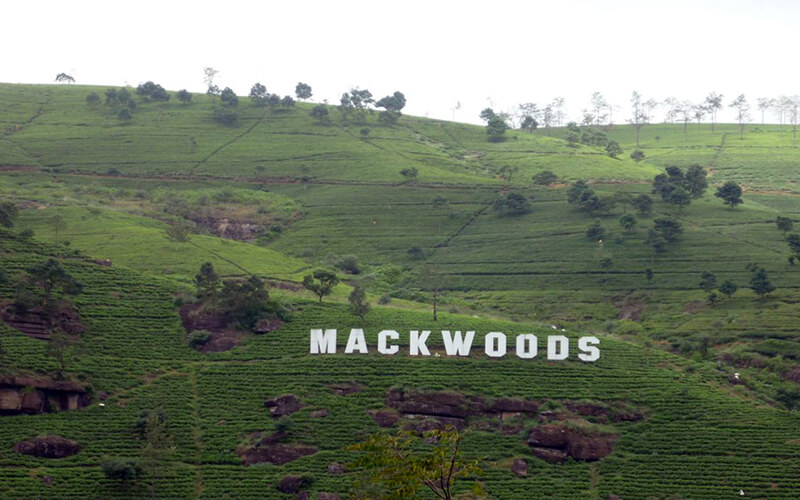 Sri Lankan Hollywood sign